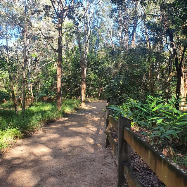 Spotted Gum Trail