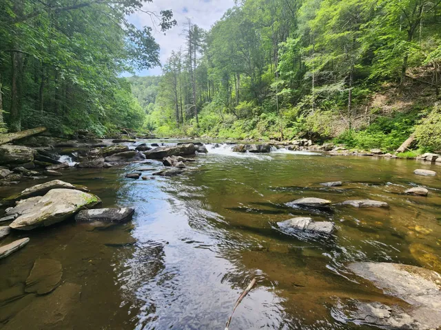 Cohutta Wilderness Trailheads
