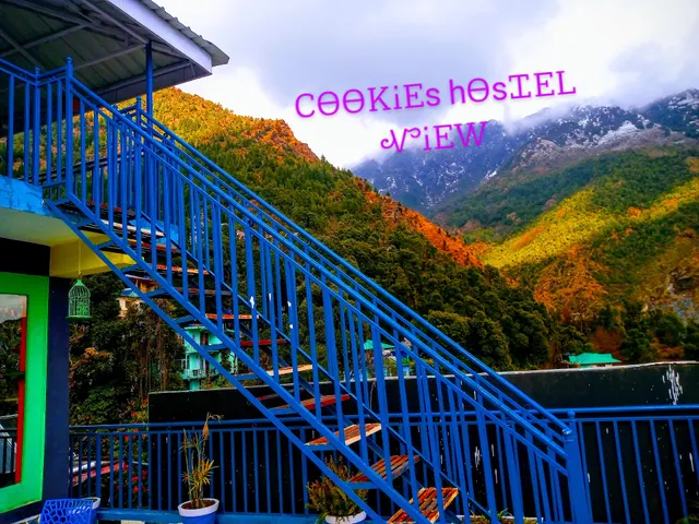 Cookies Hostel