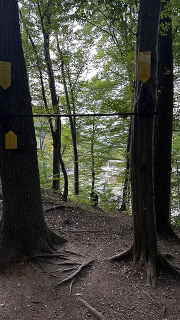 Arnold's pull ups bar