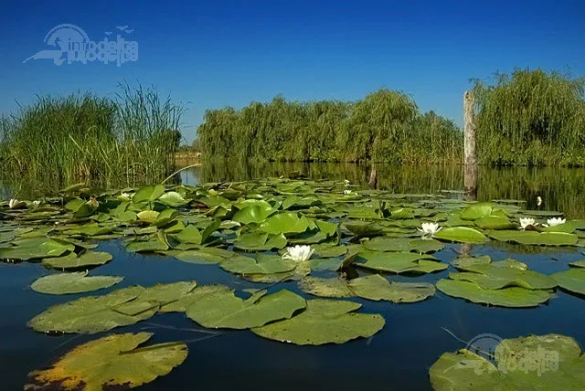 Danube Delta