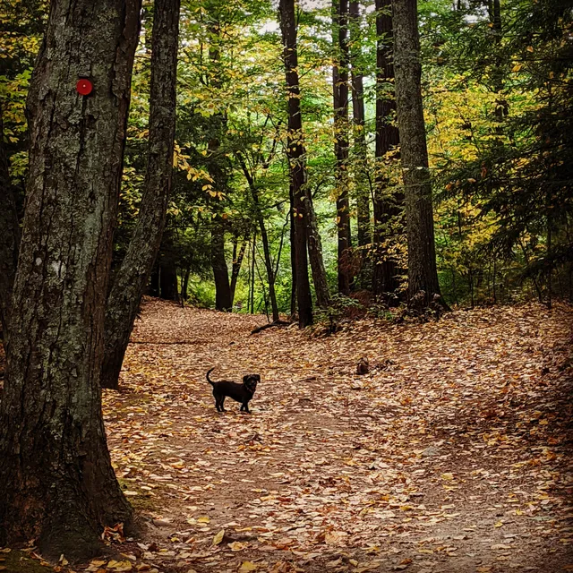 Mt. Misery Parking Lot