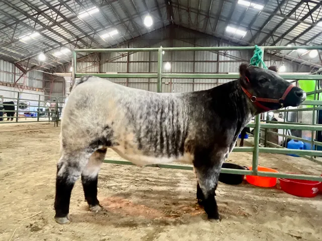 Spokane County Interstate Fair