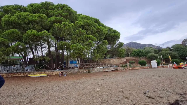 Appartamenti Le Mimose