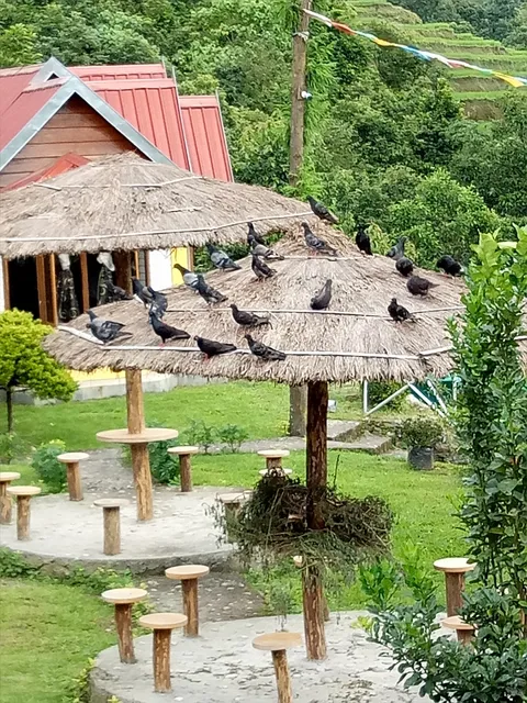 Seven Yeties By One Earth