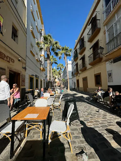 Talento cóctel & bar