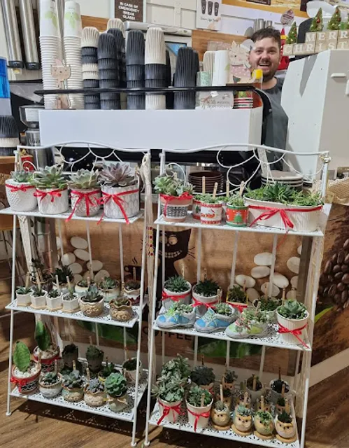 Crazy Cat Coffee with Black Cat Coffee