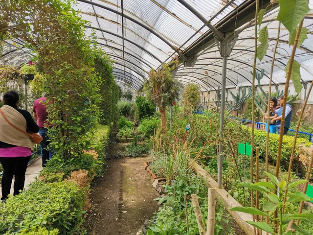 Environmental Education Center Acuexcomatl