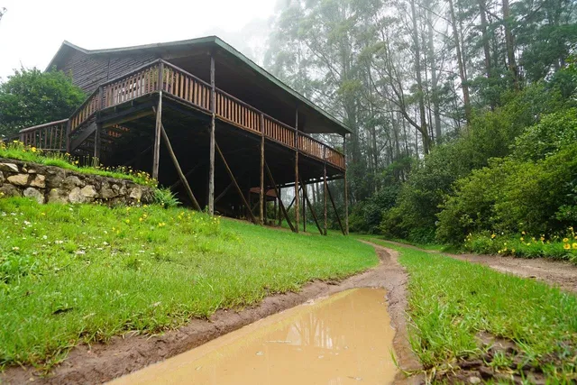 Mountain Fly Fishing cottages