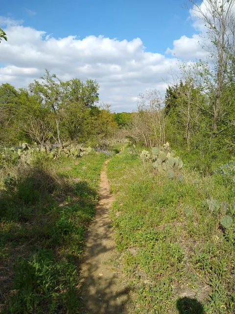 Blunn Creek Nature Preserve