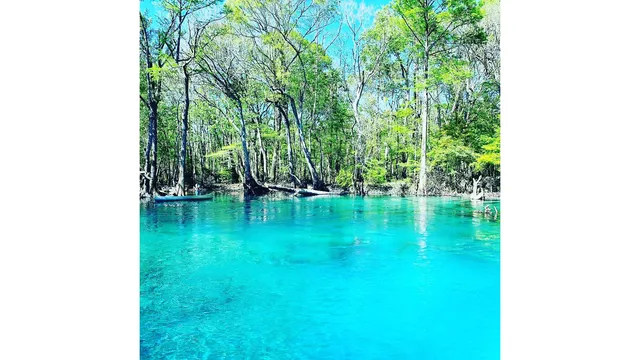 Cypress Springs - Canoe Adventures LLC