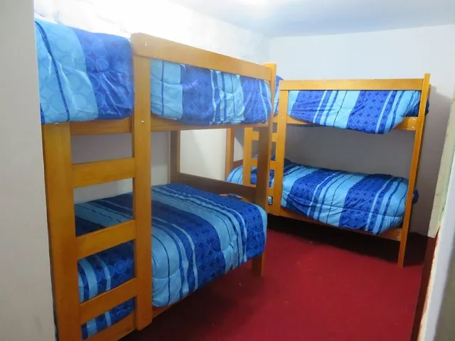 CHOLO'S HOUSE HOSTEL BACKPACKER