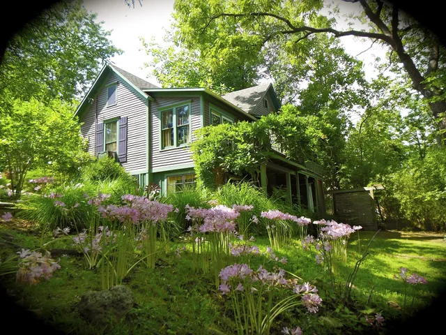 The Belladonna Cottage