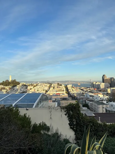 SF view
