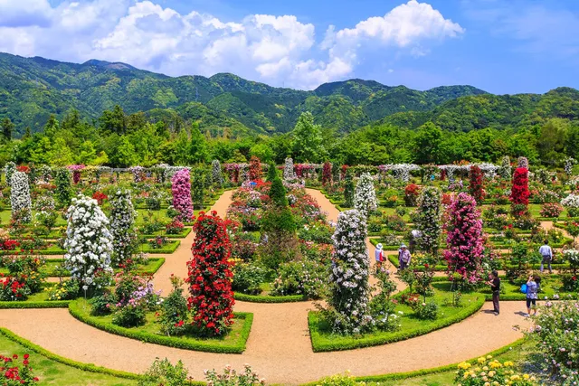 Kawazu Bagatelle Park