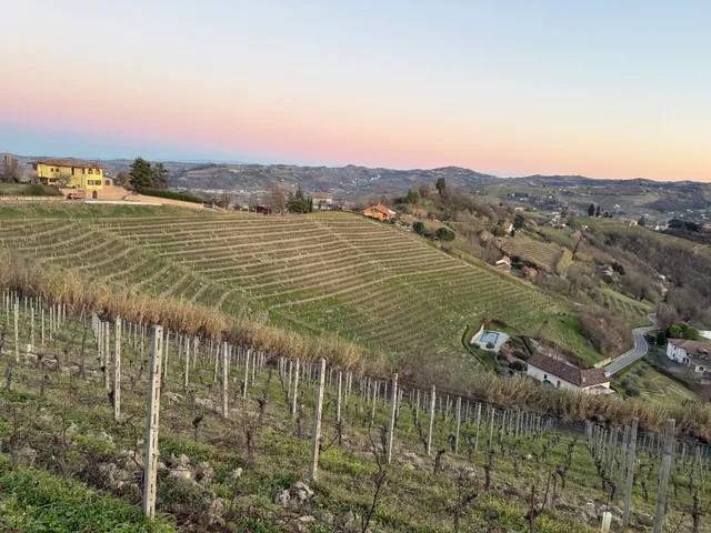 The house in the vineyard