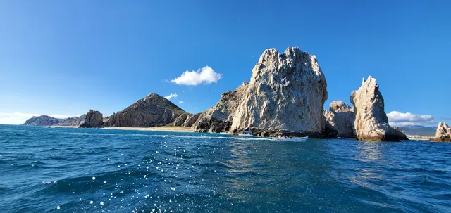 Whale Watch Cabo