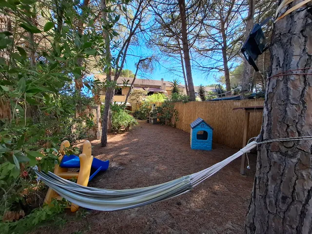 Purple House Arboriamar