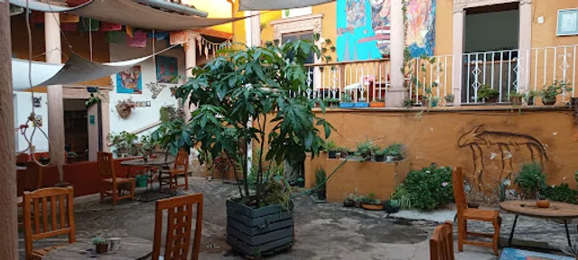 Chocolate Don Jenaro