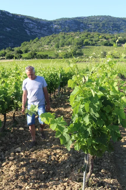 Winemakers Clos de l'Abbé Dubois