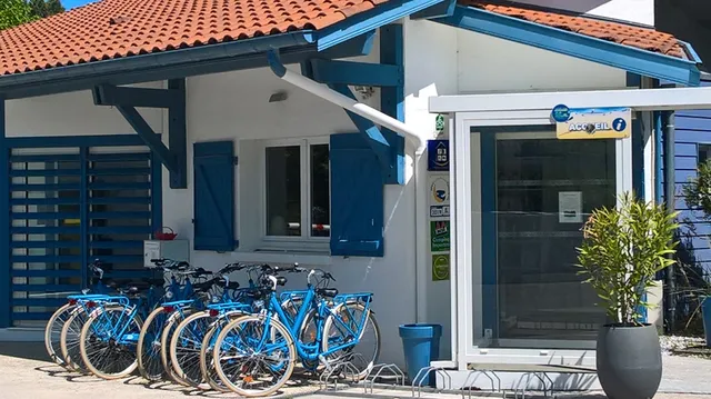 Camping Municipal Les Pins Bleus