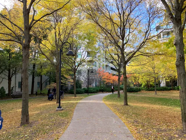Pricefield Road Playground
