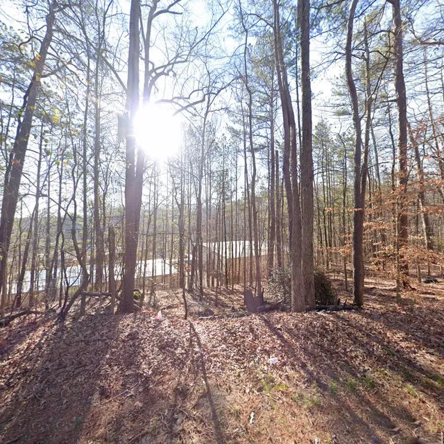 Carver Bible College