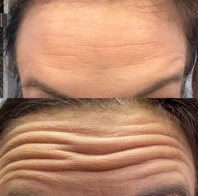 The Spa Face and Body