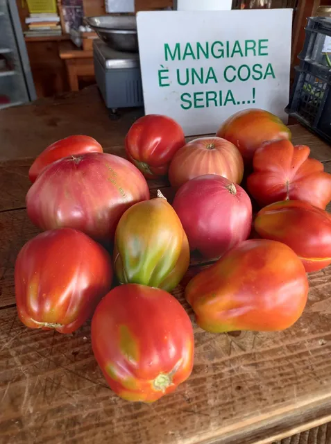 Azienda Agricola Castellonchio