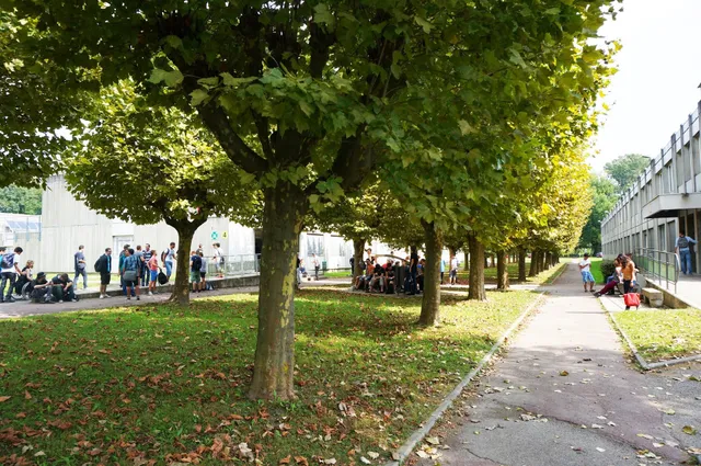 IUT1 - Université Grenoble Alpes