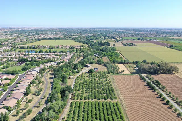 Wolfe Ranch Cherries