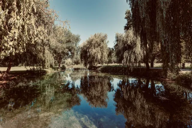 Domaine Du Grand Lauron : entre Avignon et Aix en Provence (Parc régional du Lubéron Vaucluse)