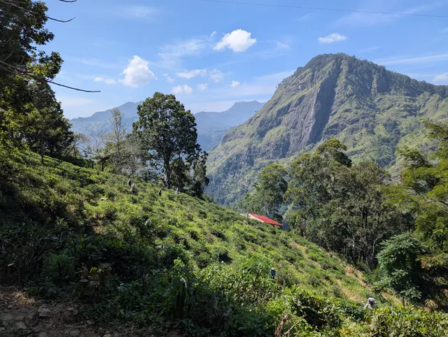 Little's Adams Peak View Point