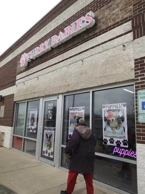 Furry Babies Portage