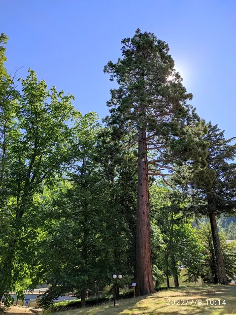 Arboreti di Vallombrosa