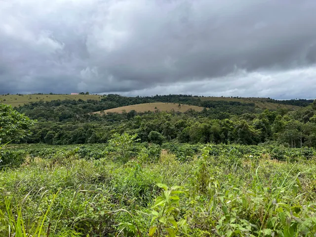 Phnom Namlear Wildlife Sanctuary