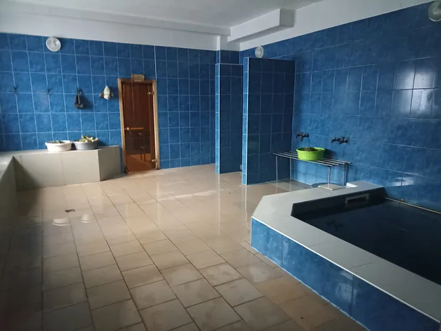 Sabiedriba VM , SIA, Pirts