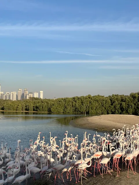 Ras Al Khor Wildlife Sanctuary