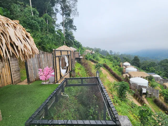 แคมป์เก็บดาว