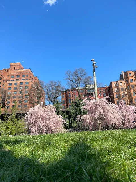 Water Fountains for Kids