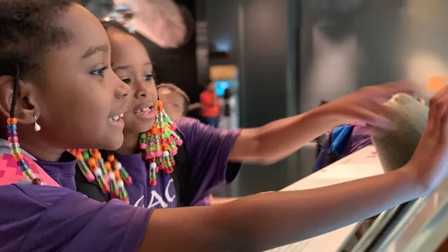 Legacy Summer Camp, Queens Site