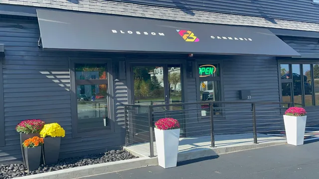 Blossom Cannabis (Medical)