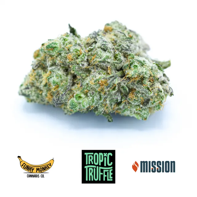 Mission Worcester Cannabis Dispensary