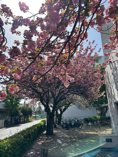 College of Bioresource Sciences, Nihon University