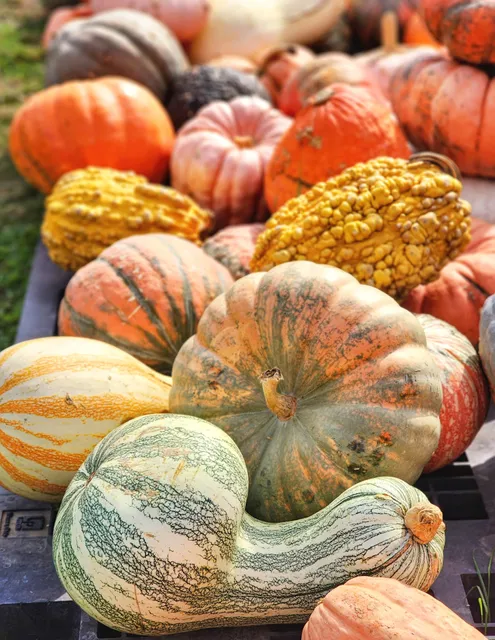 Finnell’s Farm Market