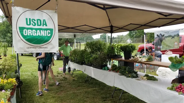 Historic Lewes Farmers Market