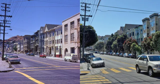 Friends of the Urban Forest