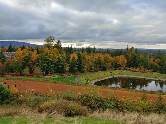 Issaquah Highlands Bark Park