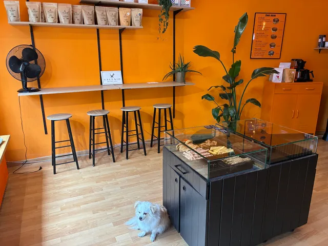 Hype specialty coffee & good vibes