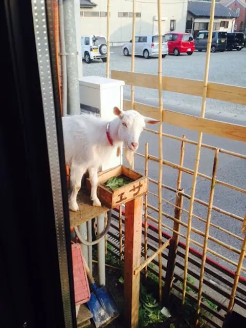 東那須大衆酒場 東のこうじ